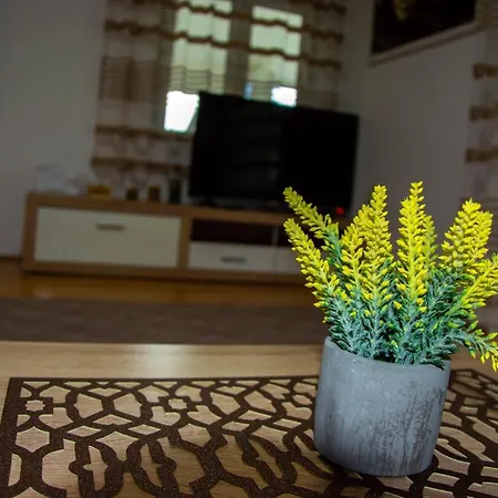 Prázdninový dům Drinska Kucica