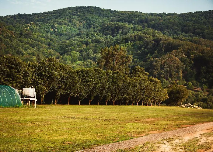 펜션 Drinska Kucica Ljubovija