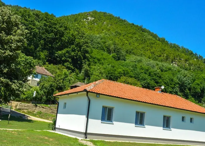 펜션 Drinska Kucica Ljubovija