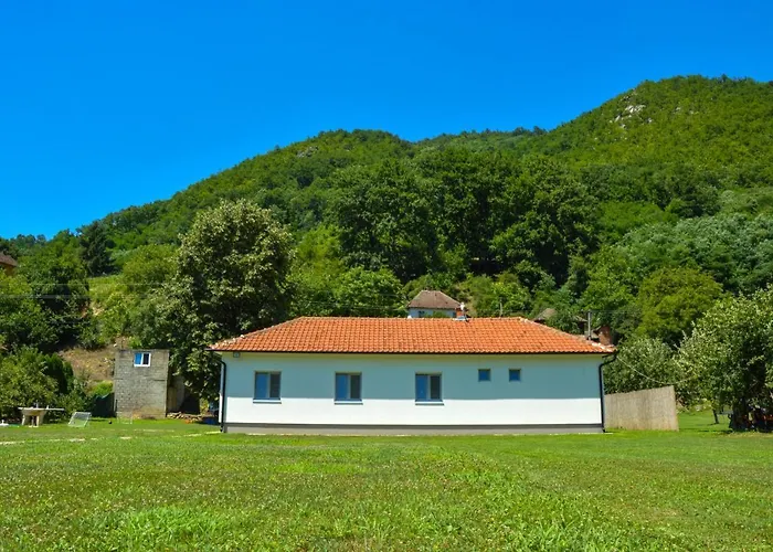 펜션 Drinska Kucica *