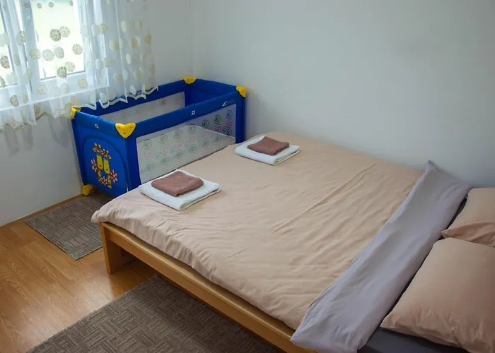 Drinska Kucica 펜션