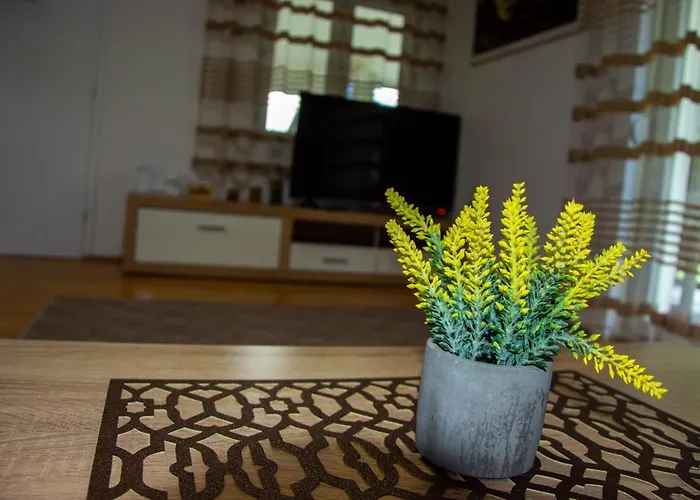 펜션 Drinska Kucica