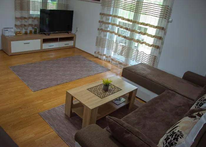 펜션 Drinska Kucica *