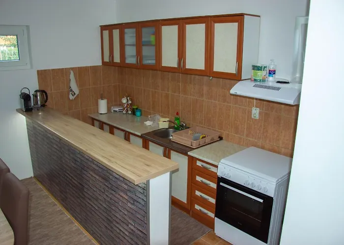 펜션 Drinska Kucica Ljubovija