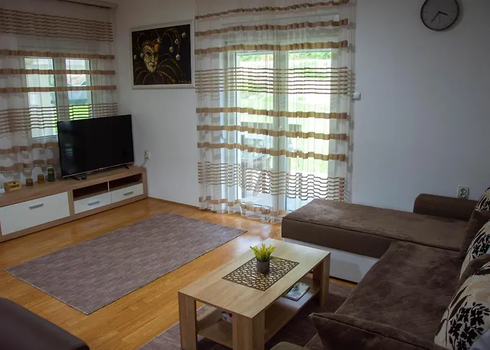 펜션 Drinska Kucica *