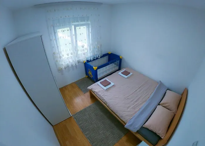 펜션 Drinska Kucica