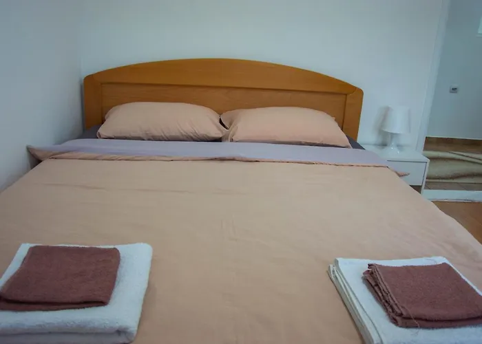 펜션 Drinska Kucica